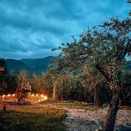 Elysian Fields - The Island Tiny House Bed & Breakfast Sadu Dış mekan fotoğraf