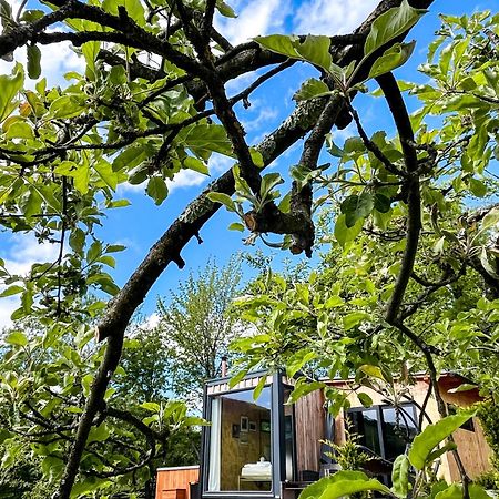 Elysian Fields - The Island Tiny House Bed & Breakfast Sadu Dış mekan fotoğraf
