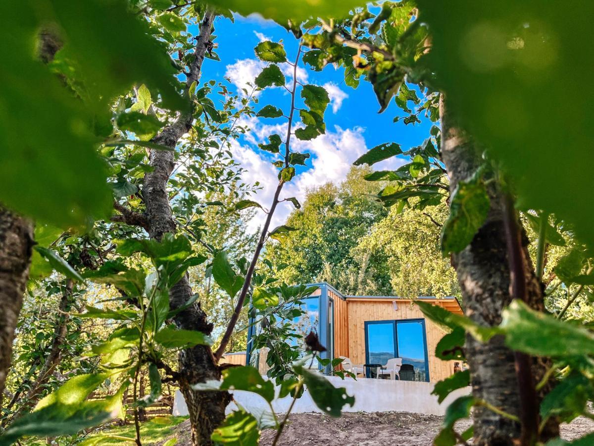 Elysian Fields - The Island Tiny House Bed & Breakfast Sadu Dış mekan fotoğraf