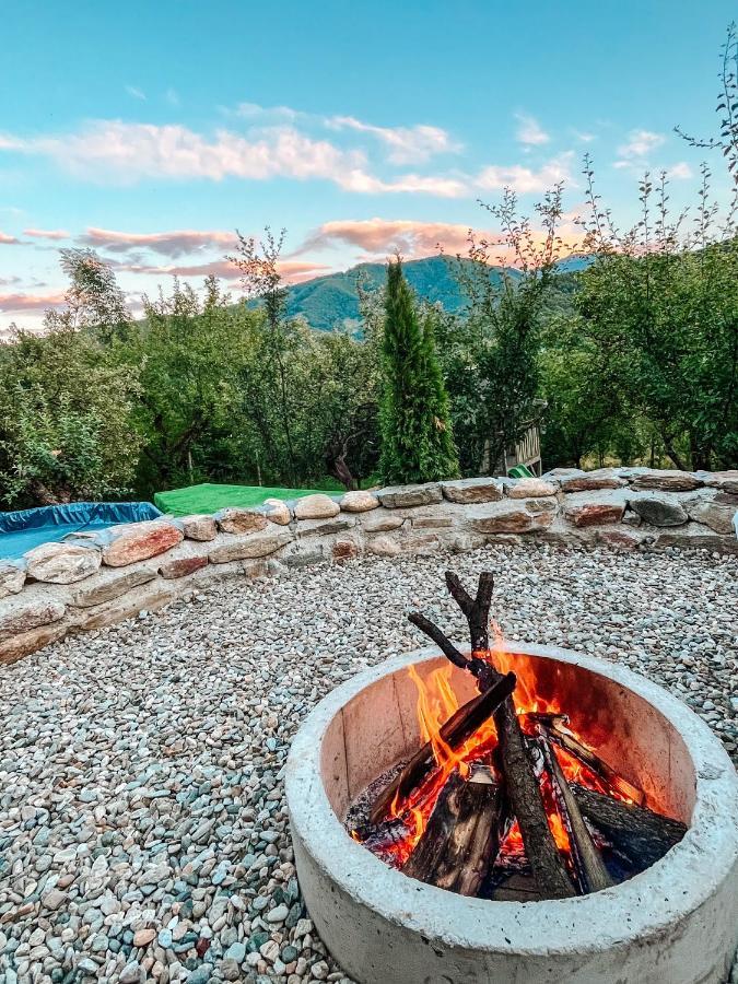 Elysian Fields - The Island Tiny House Bed & Breakfast Sadu Dış mekan fotoğraf