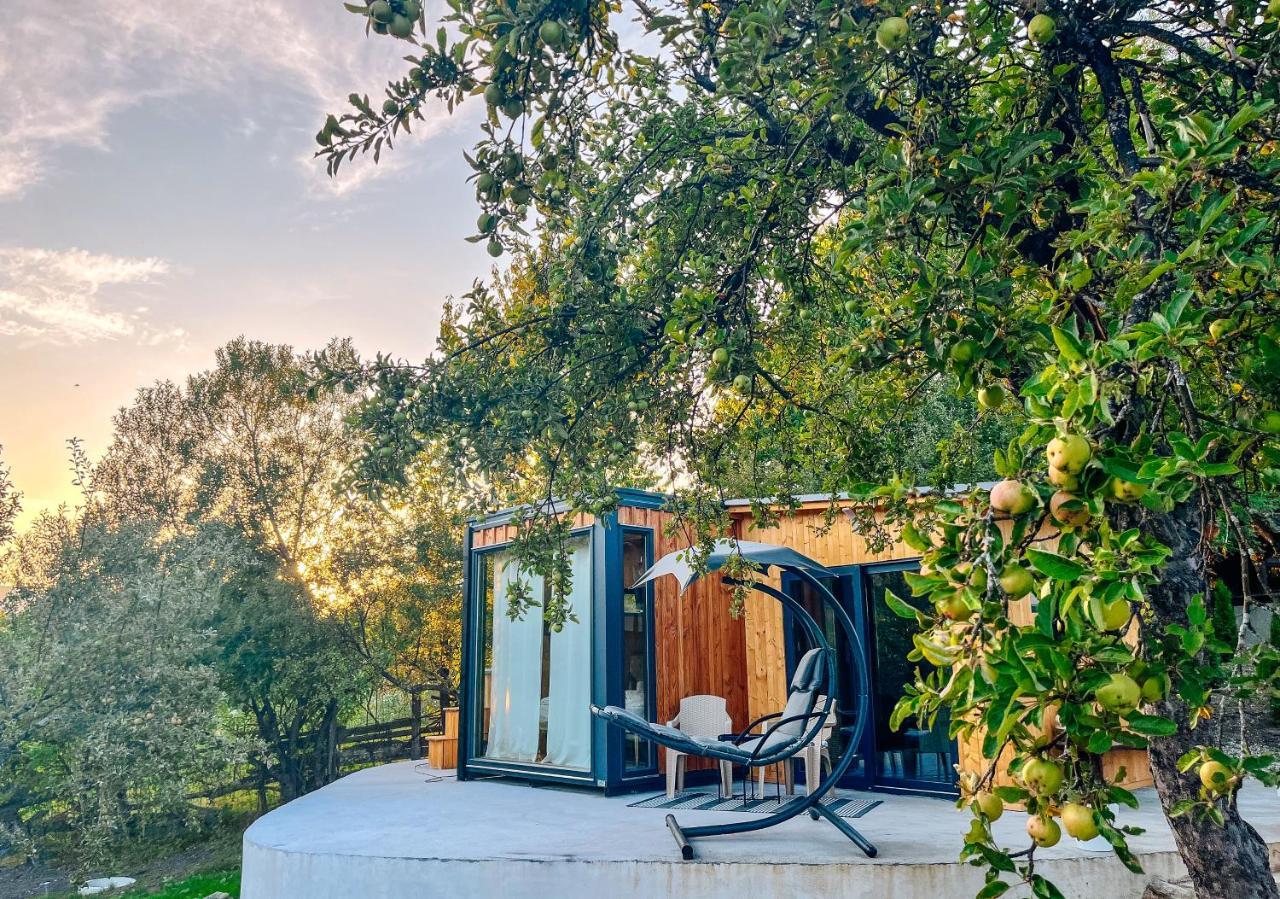 Elysian Fields - The Island Tiny House Bed & Breakfast Sadu Dış mekan fotoğraf