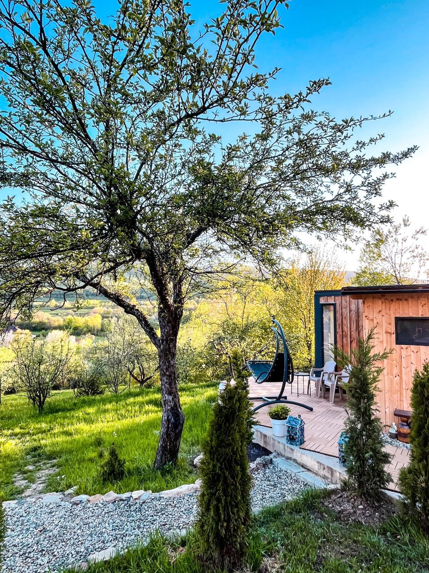 Elysian Fields - The Island Tiny House Bed & Breakfast Sadu Dış mekan fotoğraf